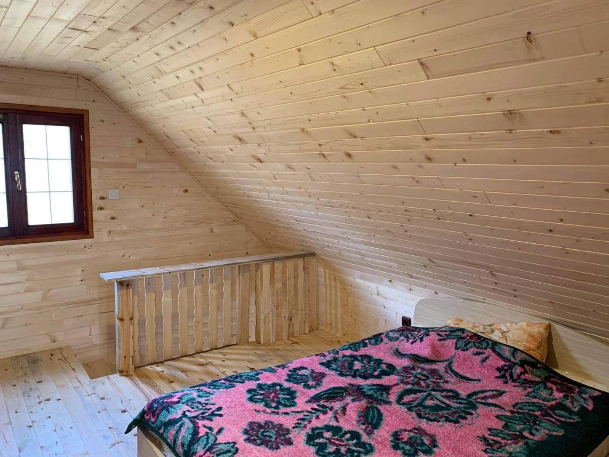 Villa Brvnare Cirkovic Zlatibor Exterior foto