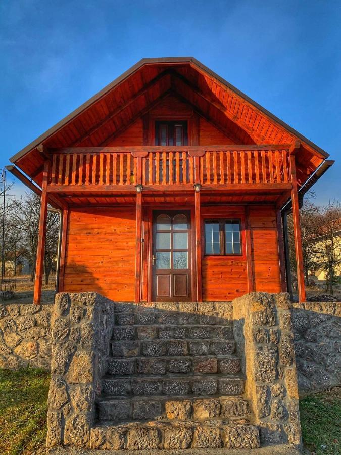 Villa Brvnare Cirkovic Zlatibor Exterior foto