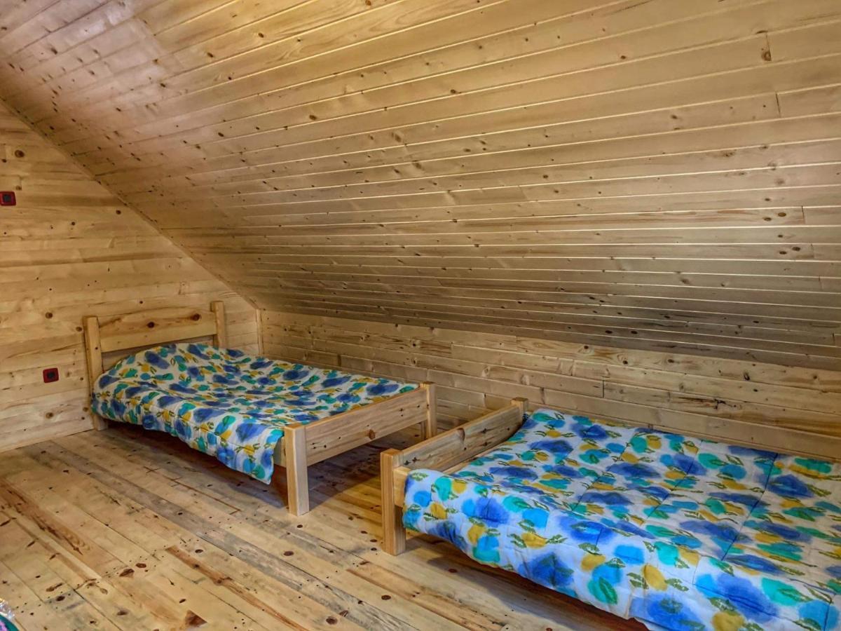 Villa Brvnare Cirkovic Zlatibor Exterior foto