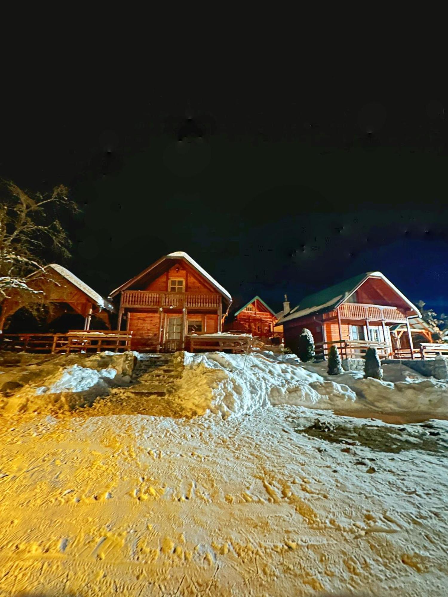 Villa Brvnare Cirkovic Zlatibor Exterior foto
