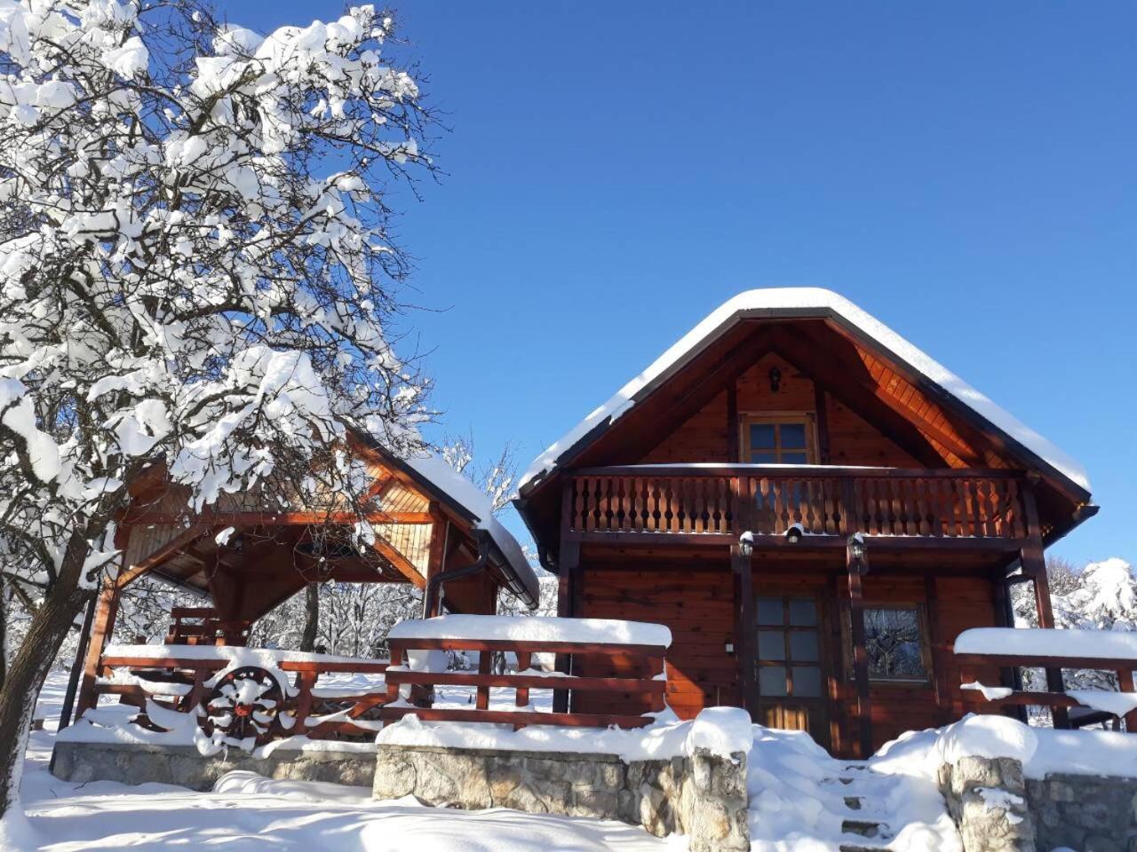 Villa Brvnare Cirkovic Zlatibor Exterior foto