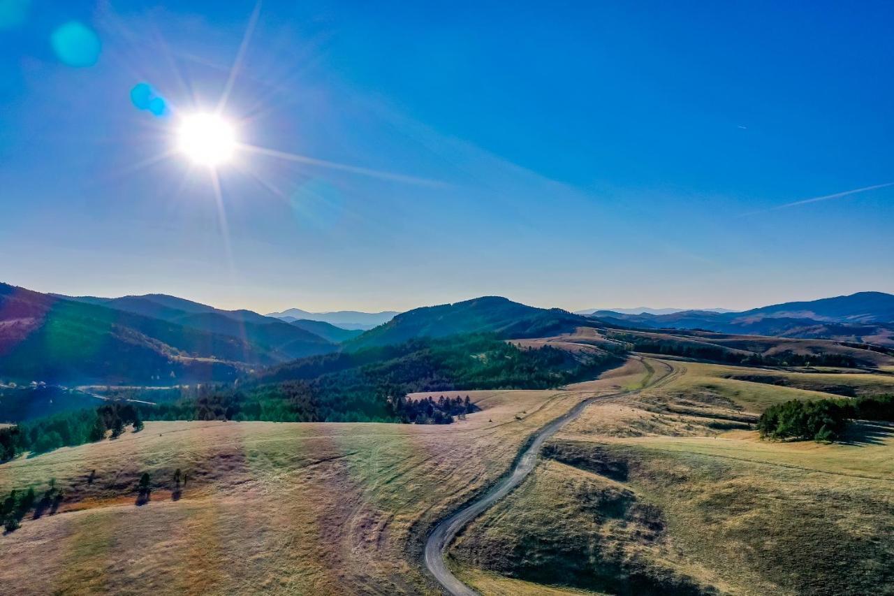 Villa Brvnare Cirkovic Zlatibor Exterior foto